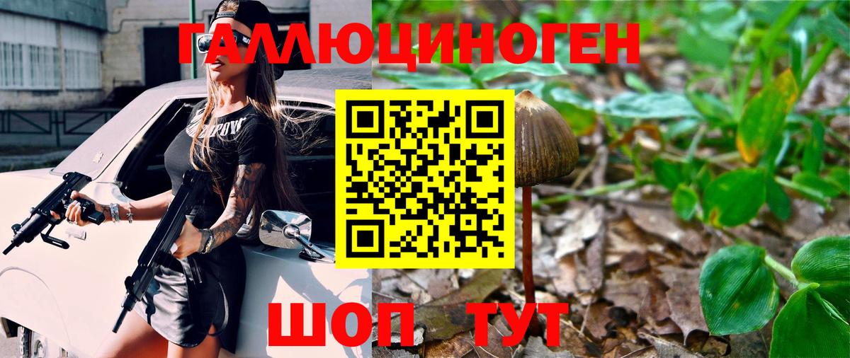 Малоярославец  Галлюциногенные грибы мухоморы  Вход с VPN 